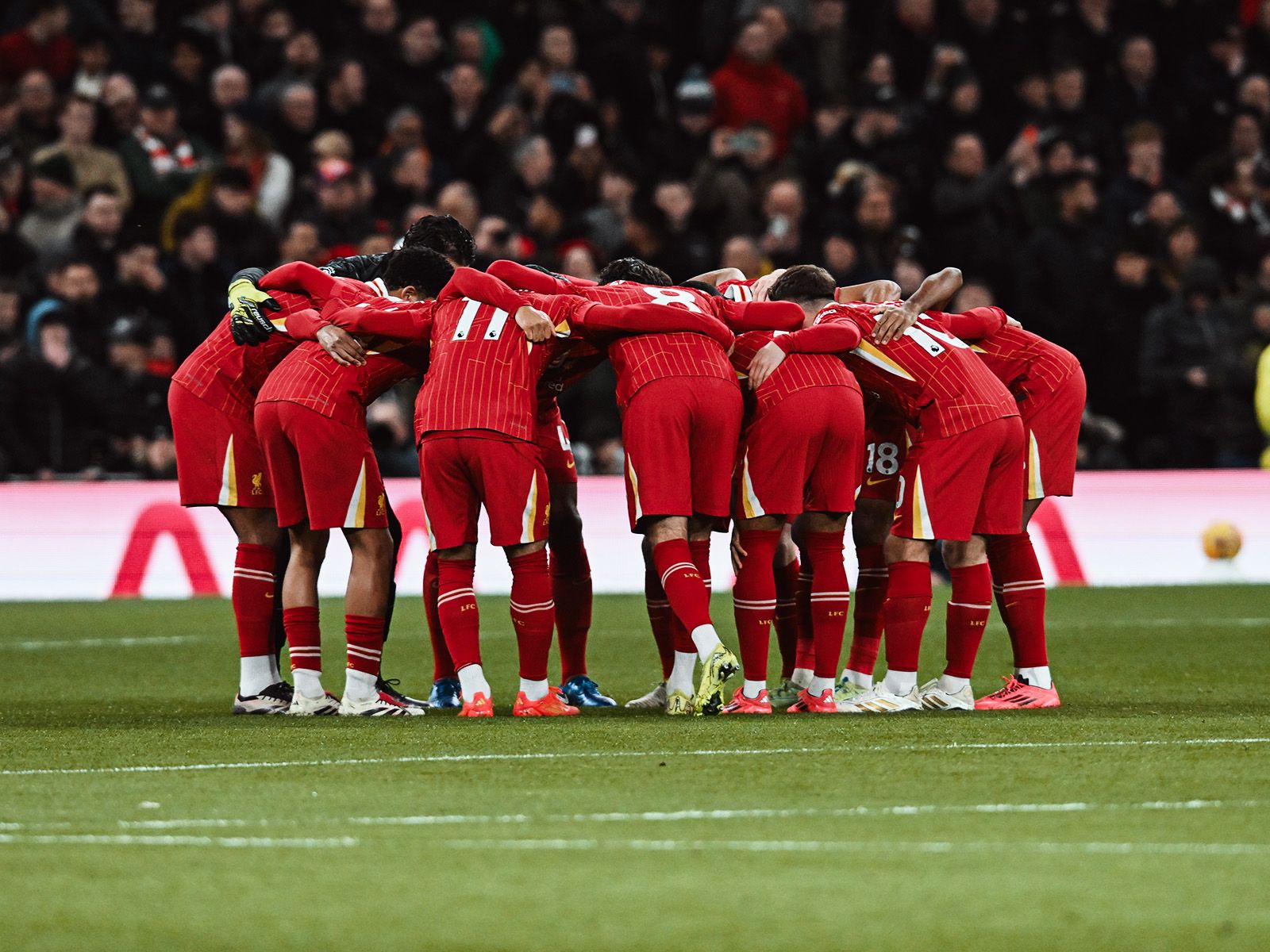 挪威队11月世预赛大名单：哈兰德领衔，厄德高伤缺